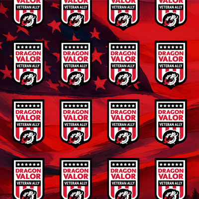Dragon VALOR