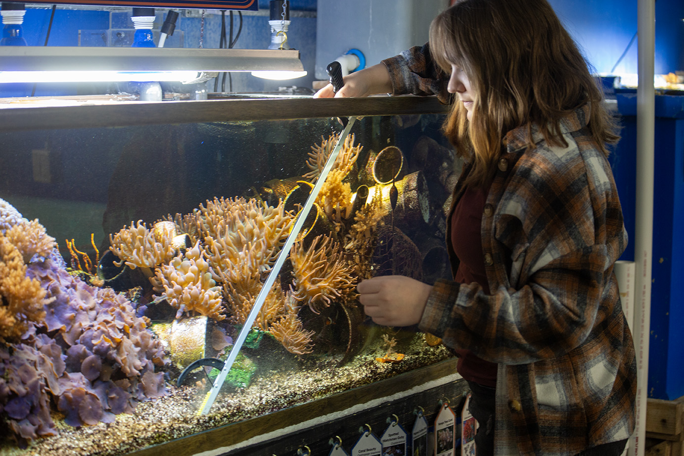 Paige Lueck Cleaning Aquarium Glass