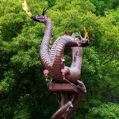 Admissions Representatives