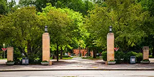 Meeting Background Gates in summer