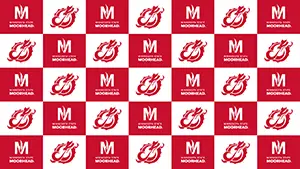 Meeting Background Red and white Logos and Dragons pattern